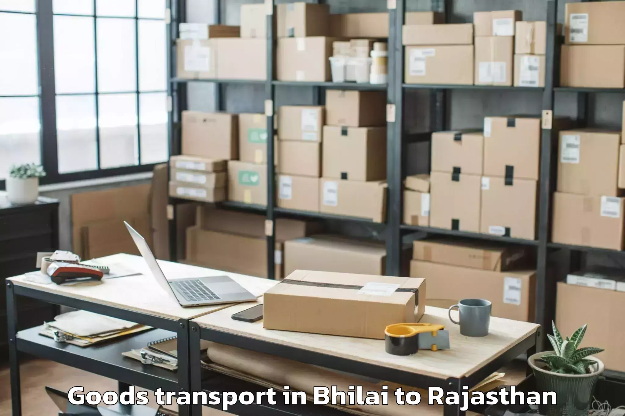 Efficient Bhilai to Pachpahar Goods Transport